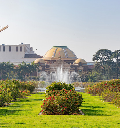 Engagement & Wedding Photoshoot Locations Exposition Park Los Angeles