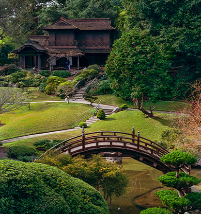 Wedding Photoshoot Locations - Huntington Botanical Gardens
